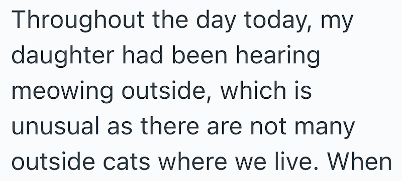 Throughout the day today, my daughter had been hearing meowing outside, which is unusual as there are not many outside cats where we live. When