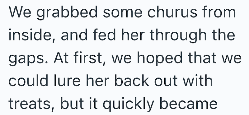 We grabbed some churus from inside, and fed her through the gaps. At first, we hoped that we could lure her back out with treats, but it quickly became