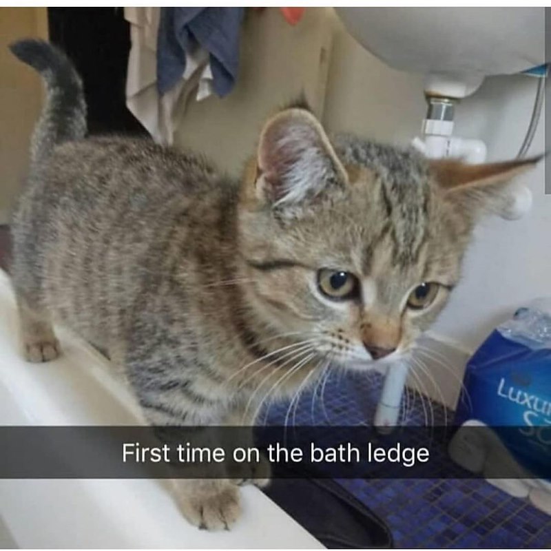 First time on the bath ledge Luxu