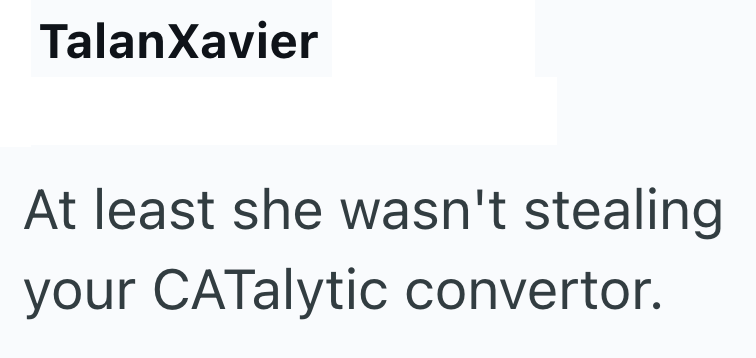 TalanXavier At least she wasn't stealing your CATalytic convertor.