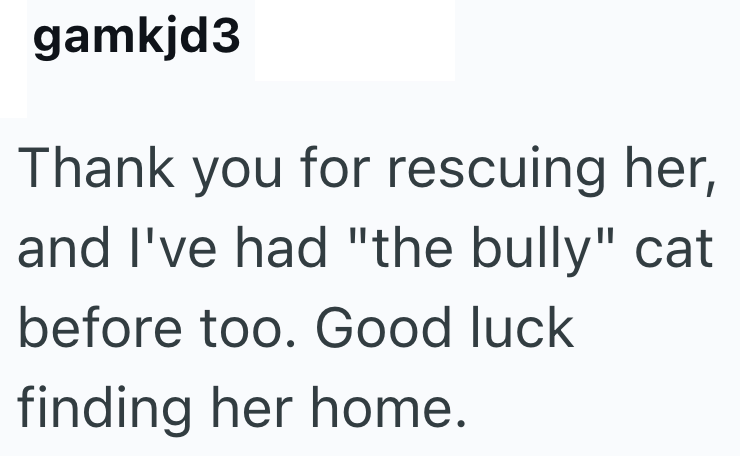 gamkjd3 Thank you for rescuing her, and I've had "the bully" cat before too. Good luck finding her home.