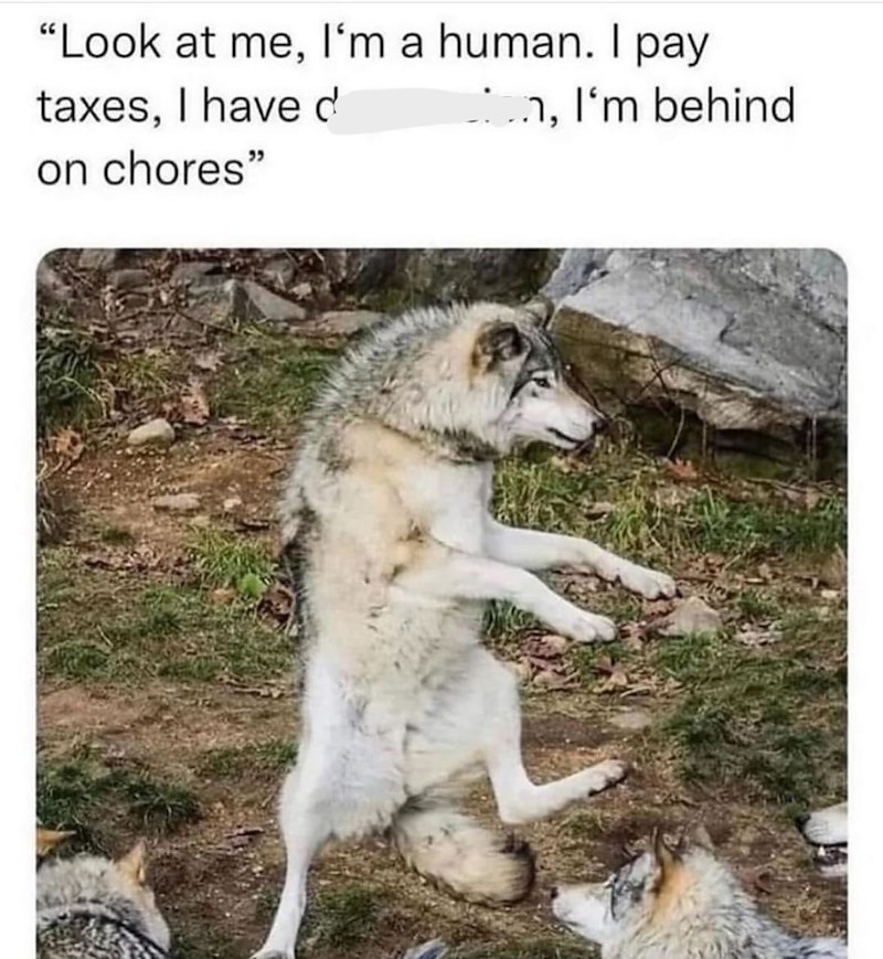 "Look at me, I'm a human. I pay taxes, I have d on chores" _n, I'm behind