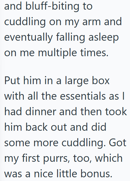 and bluff-biting to cuddling on my arm and eventually falling asleep on me multiple times. Put him in a large box with all the essentials as I had dinner and then took him back out and did some more cuddling. Got my first purrs, too, which was a nice little bonus.
