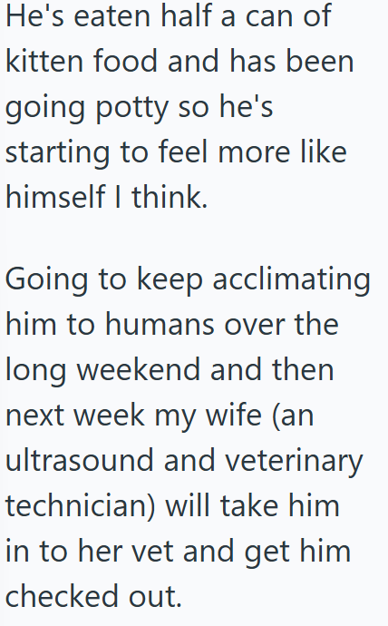 He's eaten half a can of kitten food and has been going potty so he's starting to feel more like himself I think. Going to keep acclimating him to humans over the long weekend and then next week my wife (an ultrasound and veterinary technician) will take him in to her vet and get him checked out.