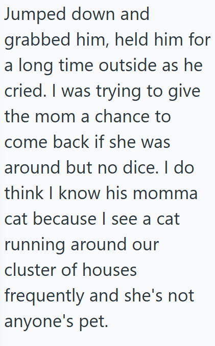 Jumped down and grabbed him, held him for a long time outside as he cried. I was trying to give the mom a chance to come back if she was around but no dice. I do think I know his momma cat because I see a cat running around our cluster of houses frequently and she's not anyone's pet.