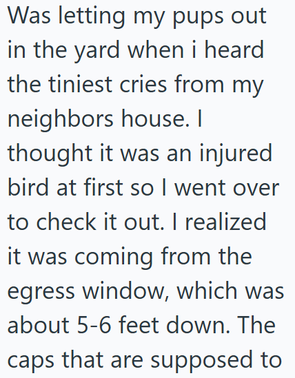 Was letting my pups out in the yard when i heard the tiniest cries from my neighbors house. I thought it was an injured bird at first so I went over to check it out. I realized it was coming from the egress window, which was about 5-6 feet down. The caps that are supposed to