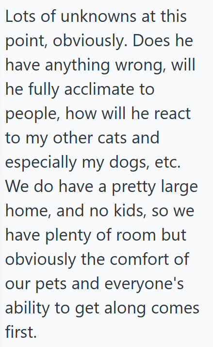Lots of unknowns at this point, obviously. Does he have anything wrong, will he fully acclimate to people, how will he react to my other cats and especially my dogs, etc. We do have a pretty large home, and no kids, so we have plenty of room but obviously the comfort of our pets and everyone's ability to get along comes first.