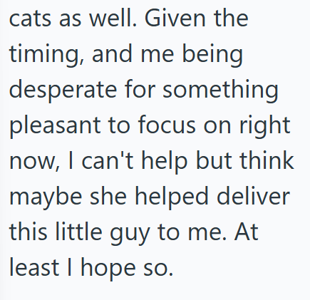cats as well. Given the timing, and me being desperate for something pleasant to focus on right now, I can't help but think maybe she helped deliver this little guy to me. At least I hope so.
