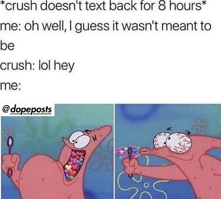 *crush doesn't text back for 8 hours* me: oh well, I guess it wasn't meant to be crush: lol hey me: @dopeposts W