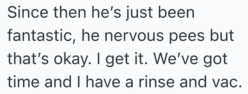 Since then he's just been fantastic, he nervous pees but that's okay. I get it. We've got time and I have a rinse and vac.
