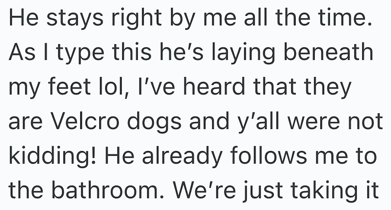 He stays right by me all the time. As I type this he's laying beneath my feet lol, I've heard that they are Velcro dogs and y'all were not kidding! He already follows me to the bathroom. We're just taking it