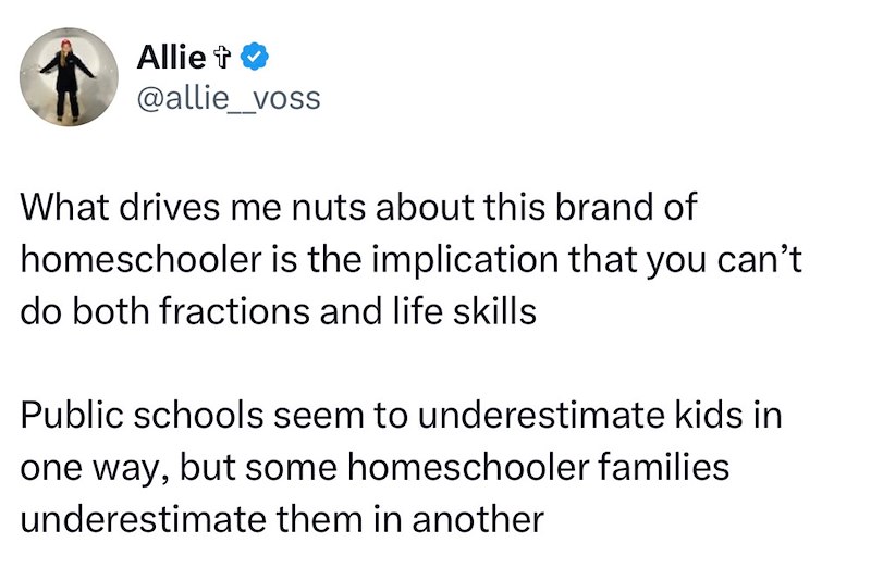 Allie + @allie_voss What drives me nuts about this brand of homeschooler is the implication that you can't do both fractions and life skills Public schools seem to underestimate kids in one way, but some homeschooler families underestimate them in another