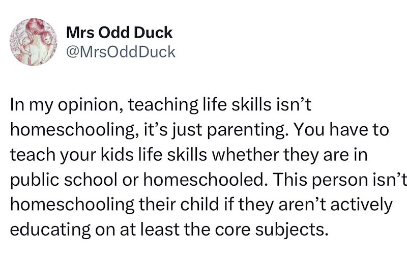 Mrs Odd Duck @MrsOddDuck In my opinion, teaching life skills isn't homeschooling, it's just parenting. You have to teach your kids life skills whether they are in public school or homeschooled. This person isn't homeschooling their child if they aren't actively educating on at least the core subjects.