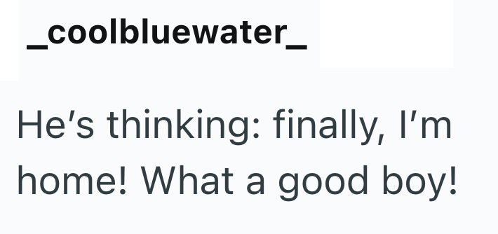 _coolbluewater_ He's thinking: finally, I'm home! What a good boy!