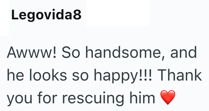 Legovida8 Awww! So handsome, and he looks so happy!!! Thank you for rescuing him