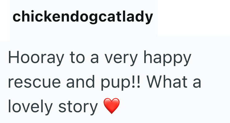 chickendogcatlady Hooray to a very happy rescue and pup!! What a lovely story