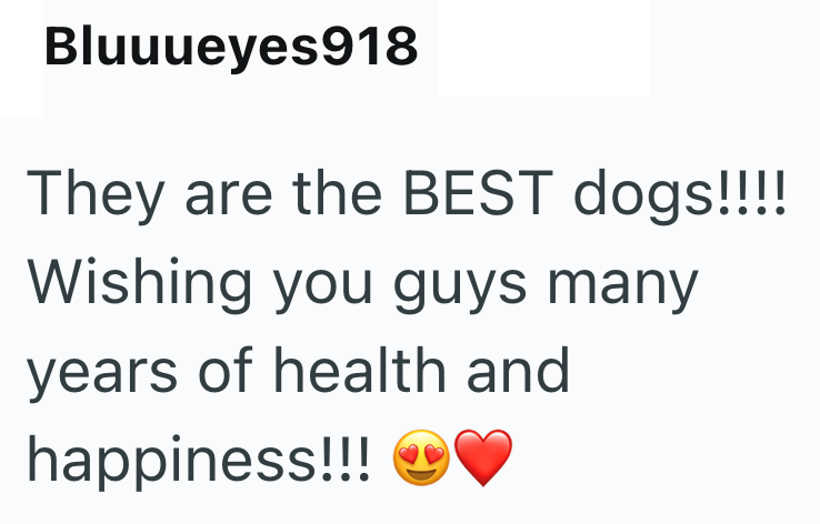 Bluuueyes918 They are the BEST dogs!!!!! Wishing you guys many years of health and happiness!!!