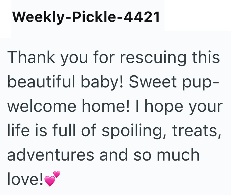 Weekly-Pickle-4421 Thank you for rescuing this beautiful baby! Sweet pup- welcome home! I hope your life is full of spoiling, treats, adventures and so much love!