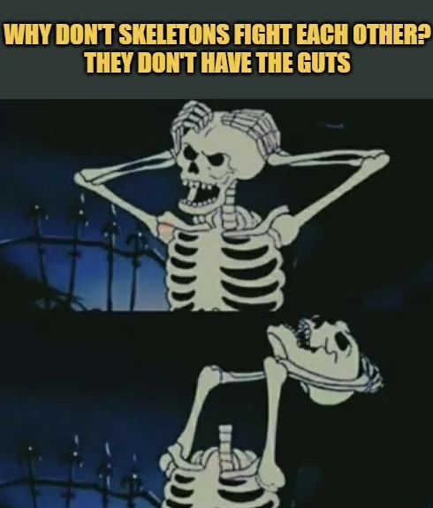 WHY DON'T SKELETONS FIGHT EACH OTHER? THEY DON'T HAVE THE GUTS
