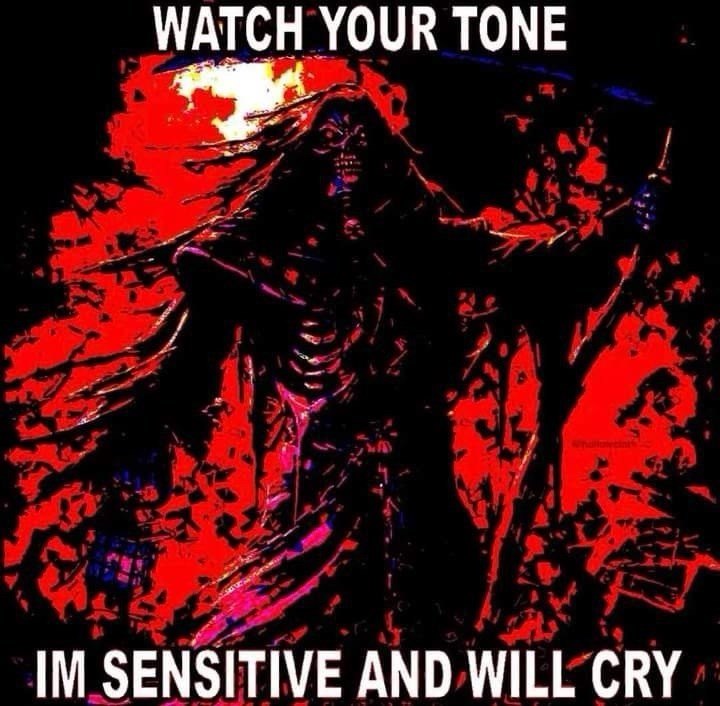 WATCH YOUR TONE IM SENSITIVE AND WILL CRY