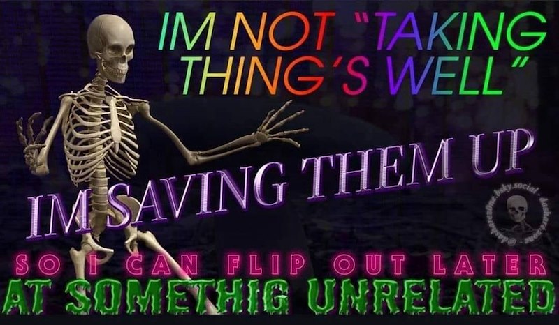 IM NOT "TAKING THING'S WELL” IM SAVING THEM UP bsky.social SO CAN FLIP OUT LATER AT SOMETHIG UNRELATED