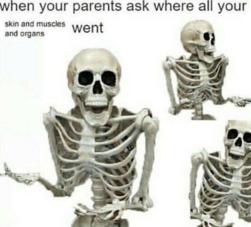 when your parents ask where all your skin and muscles went and organs