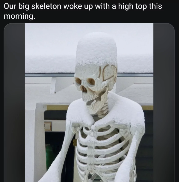 Our big skeleton woke up with a high top this morning. F