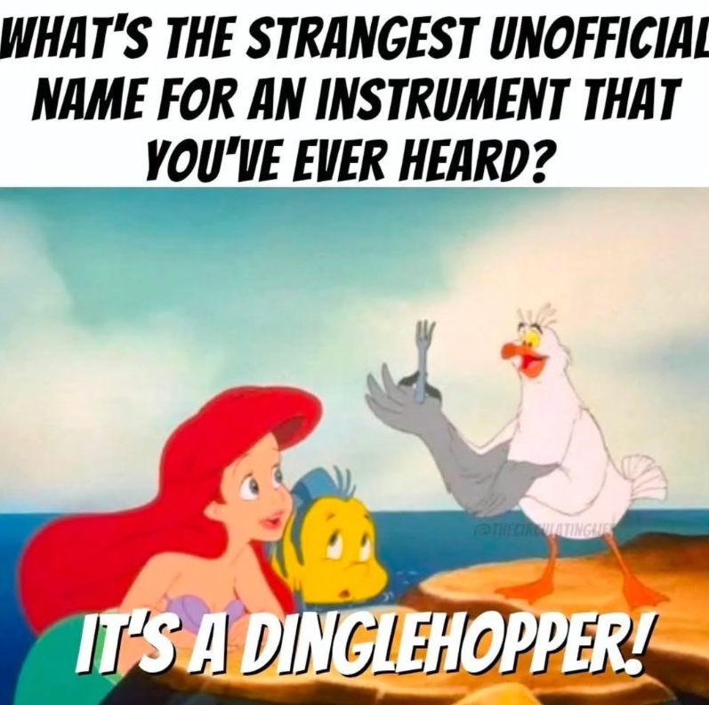 WHAT'S THE STRANGEST UNOFFICIAL NAME FOR AN INSTRUMENT THAT YOU'VE EVER HEARD? THE CIRCULATINGLIES IT'S A DINGLEHOPPER!