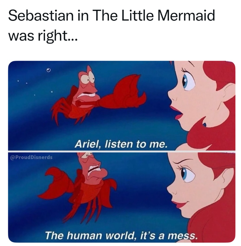 Sebastian in The Little Mermaid was right... @ProudDisnerds Ariel, listen to me. The human world, it's a mess.