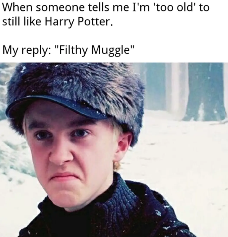 When someone tells me I'm 'too old' to still like Harry Potter. My reply: "Filthy Muggle"