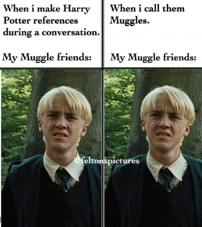 When i make Harry Potter references during a conversation. When i call them Muggles. My Muggle friends: My Muggle friends: @feltonspictures