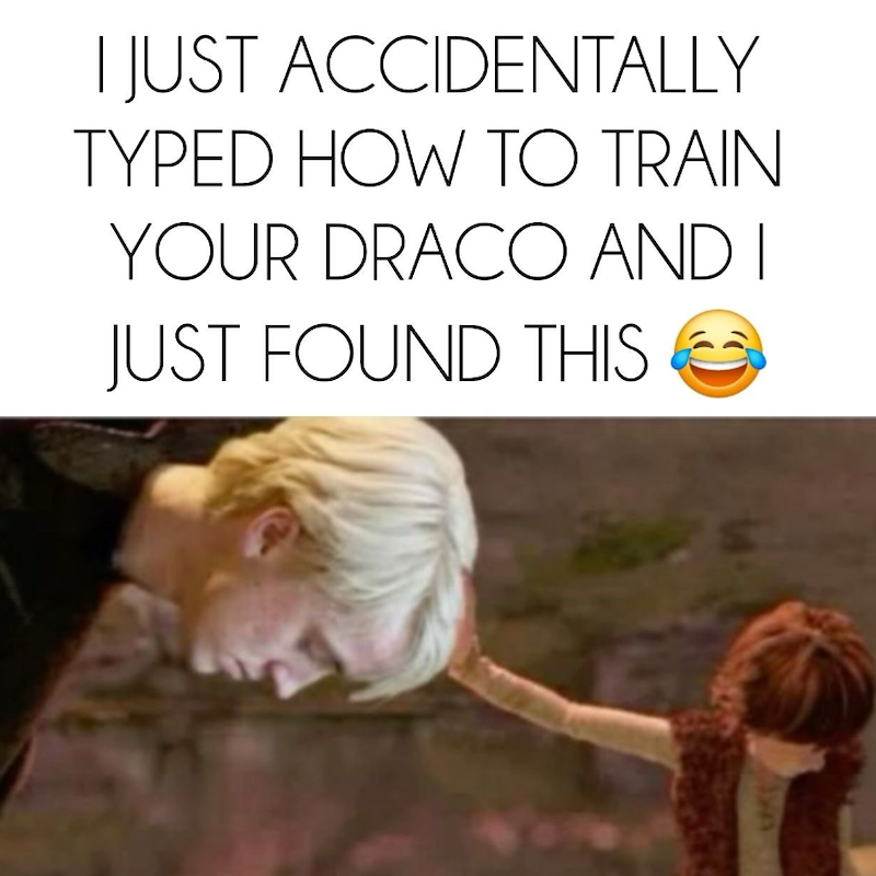 I JUST ACCIDENTALLY TYPED HOW TO TRAIN YOUR DRACO AND I JUST FOUND THIS C