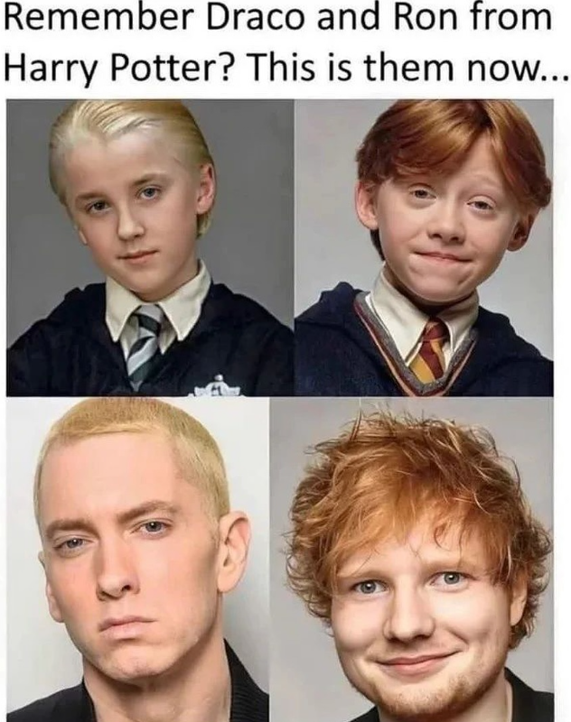 Remember Draco and Ron from Harry Potter? This is them now...