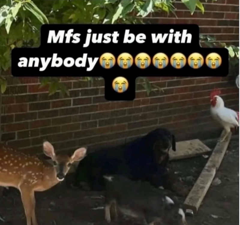 Mfs just be with anybody e