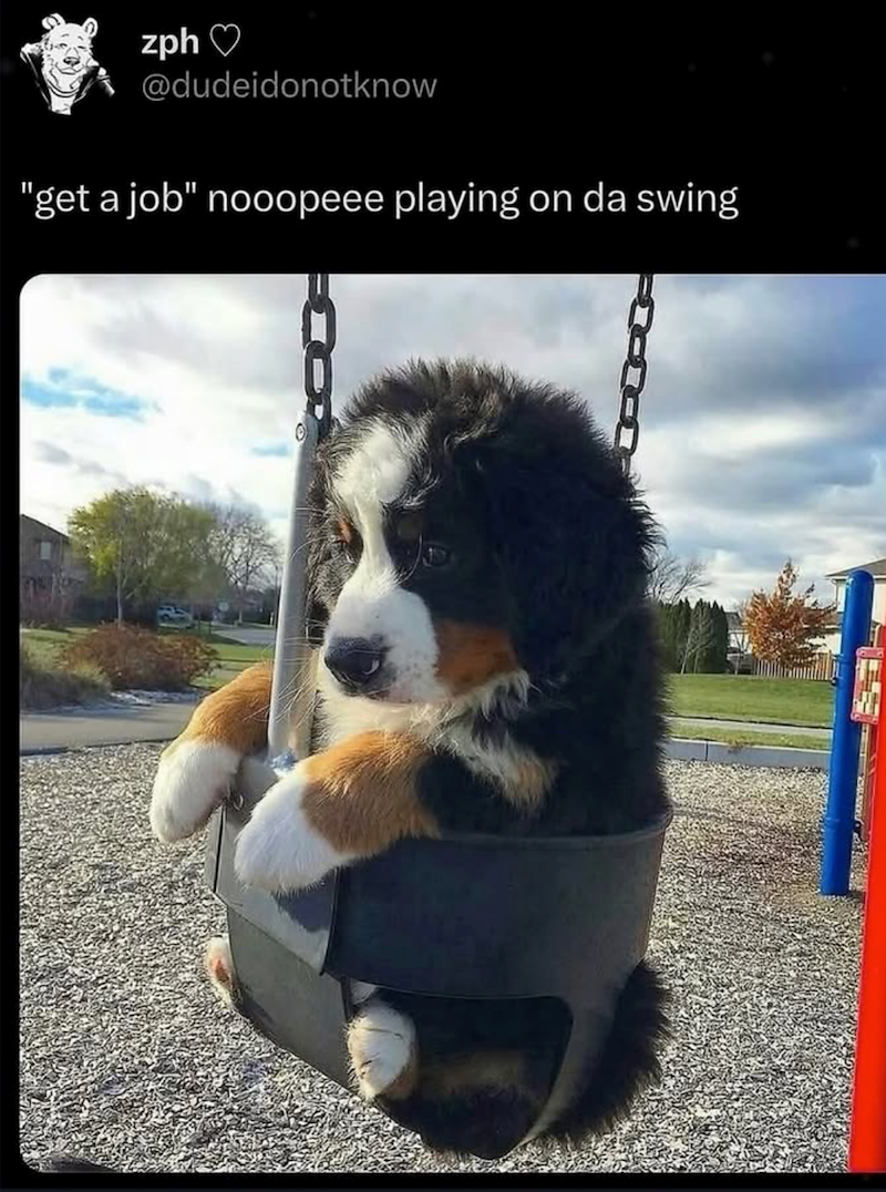 zph♡ @dudeidonotknow "get a job" nooopeee playing on da swing