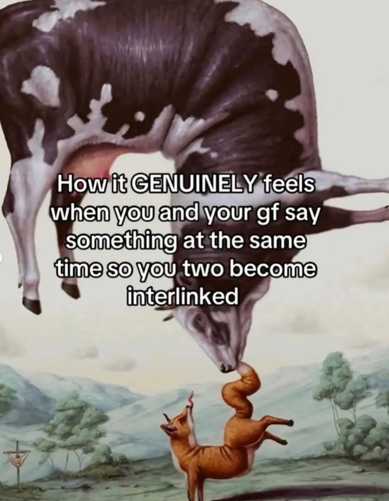 How it GENUINELY feels when you and your gf say something at the same time so you two become interlinked