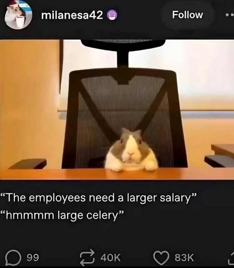 milanesa42 Follow "The employees need a larger salary" "hmmmm large celery" 99 22 40K 83K