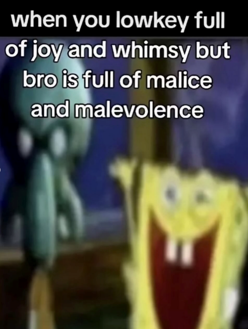 when you lowkey full of joy and whimsy but bro is full of malice and malevolence