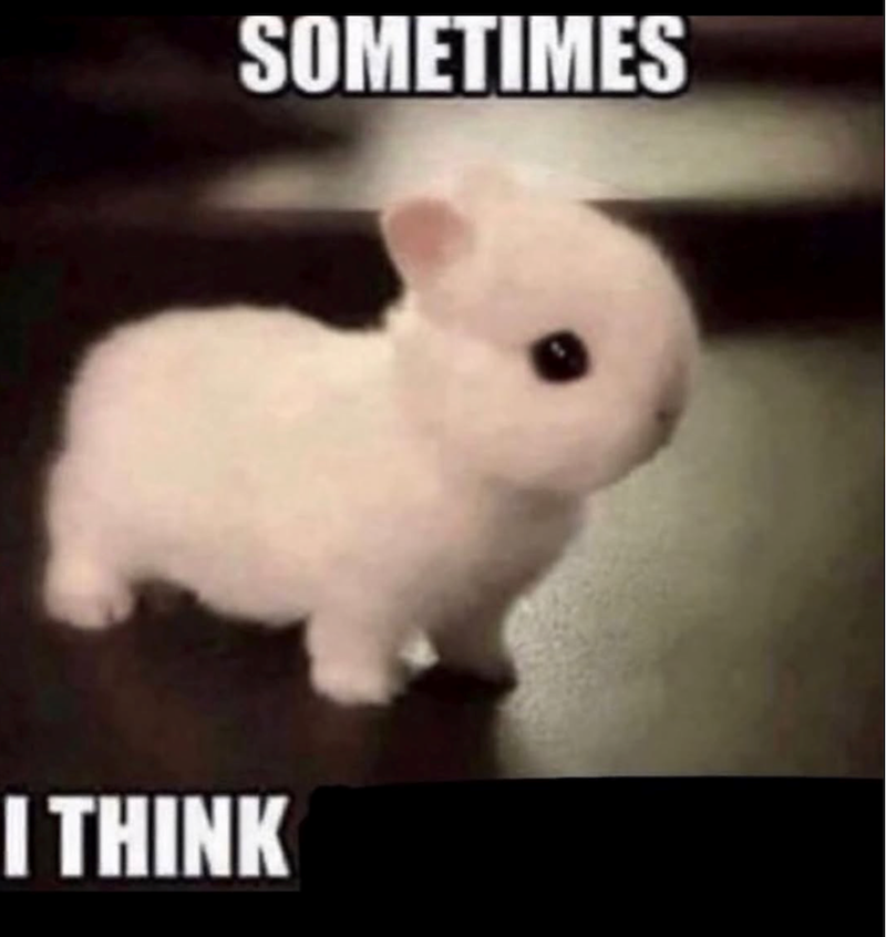 SOMETIMES I THINK