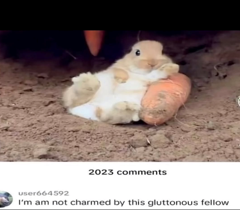 2023 comments user664592 I'm am not charmed by this gluttonous fellow