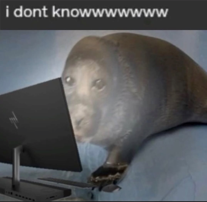 i dont knowwwwwww