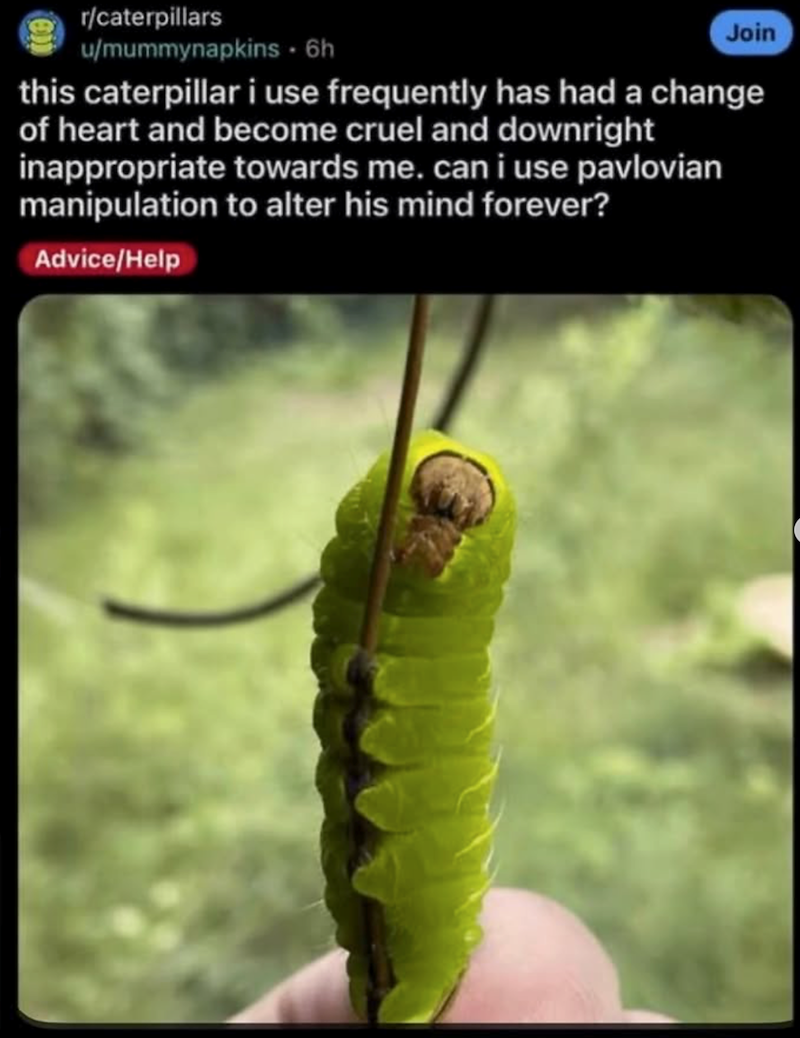 r/caterpillars u/mummynapkins - 6h Join this caterpillar i use frequently has had a change of heart and become cruel and downright inappropriate towards me. can i use pavlovian manipulation to alter his mind forever? Advice/Help