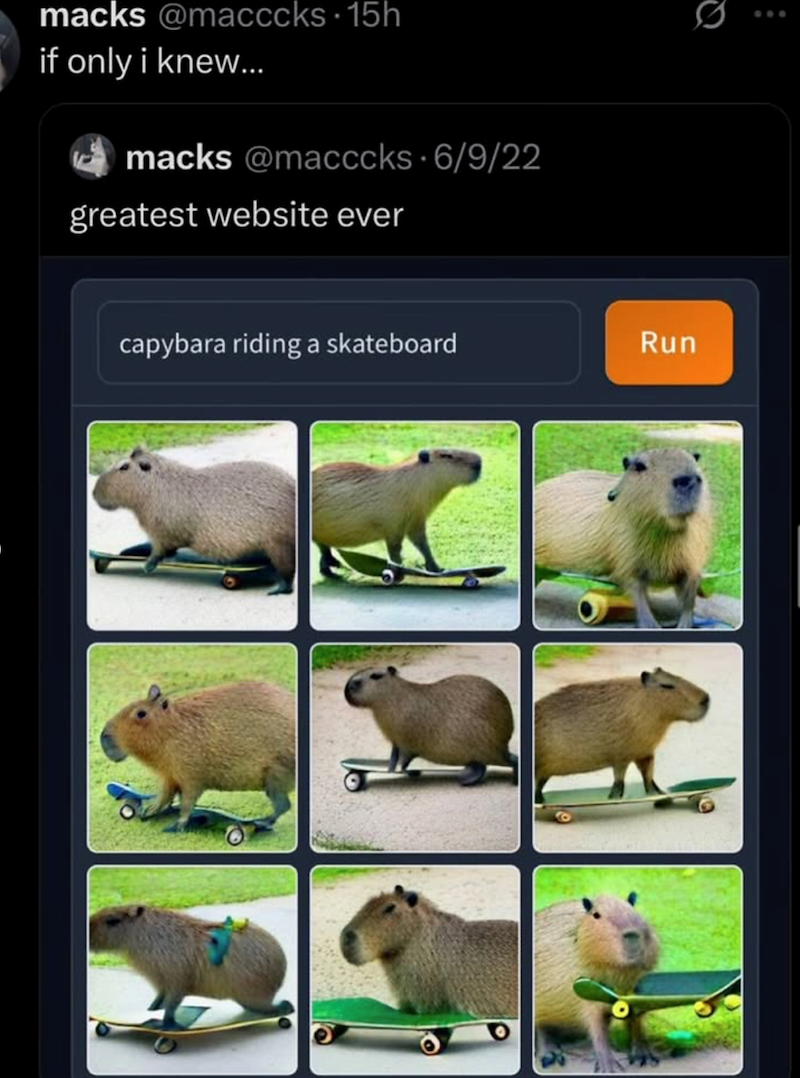 macks @macccks 15h if only i knew... macks @macccks 6/9/22 greatest website ever capybara riding a skateboard Run