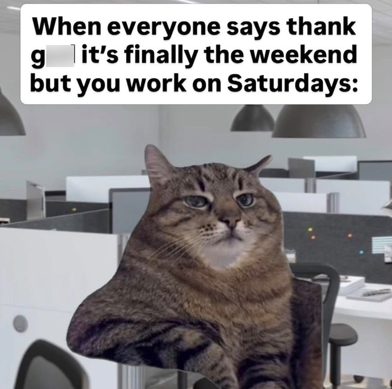 When everyone says thank g it's finally the weekend but you work on Saturdays: