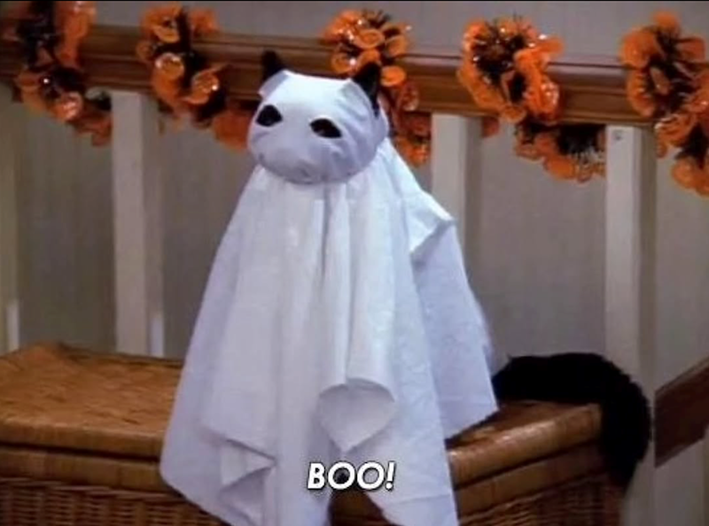 BOO!