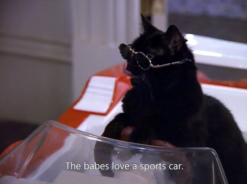 The babes love a sports car.