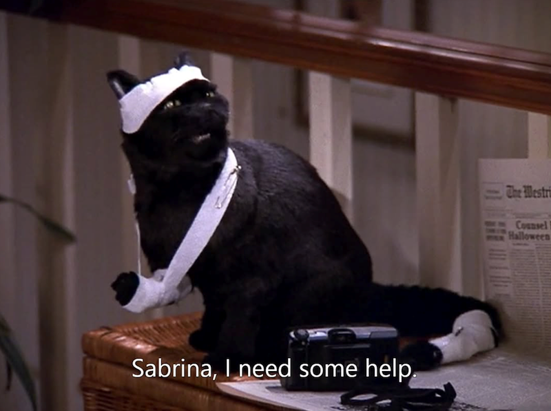 Sabrina, I need some help. The Westri Counsel Halloween