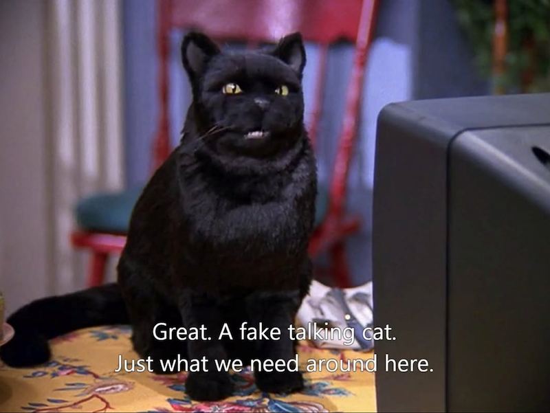 Great. A fake talking cat. Just what we need around here.