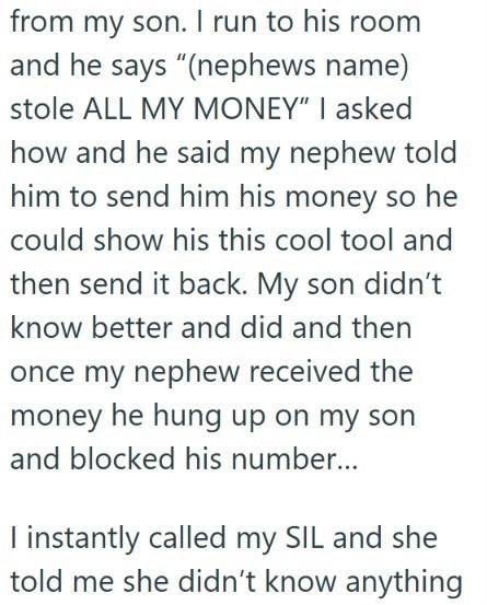from my son. I run to his room and he says "(nephews name) stole ALL MY MONEY" I asked how and he said my nephew told him to send him his money so he could show his this cool tool and then send it back. My son didn't know better and did and then once my nephew received the money he hung up on my son and blocked his number... I instantly called my SIL and she told me she didn't know anything