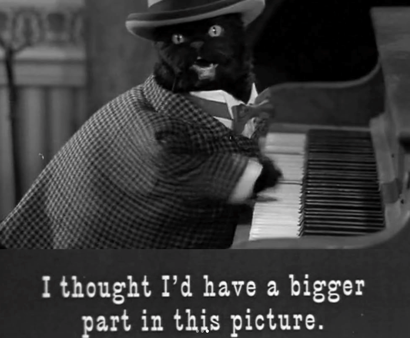 I thought I'd have a bigger part in this picture.